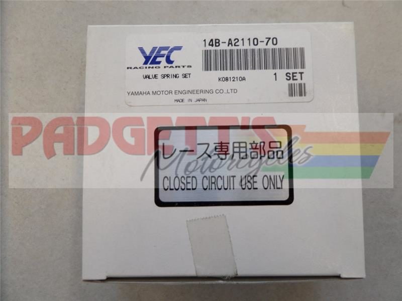 14B-A2110-70-GYTR/YEC Valve Spring Set-image
