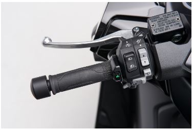 Genuine Honda Forza 125 - Heated Grips